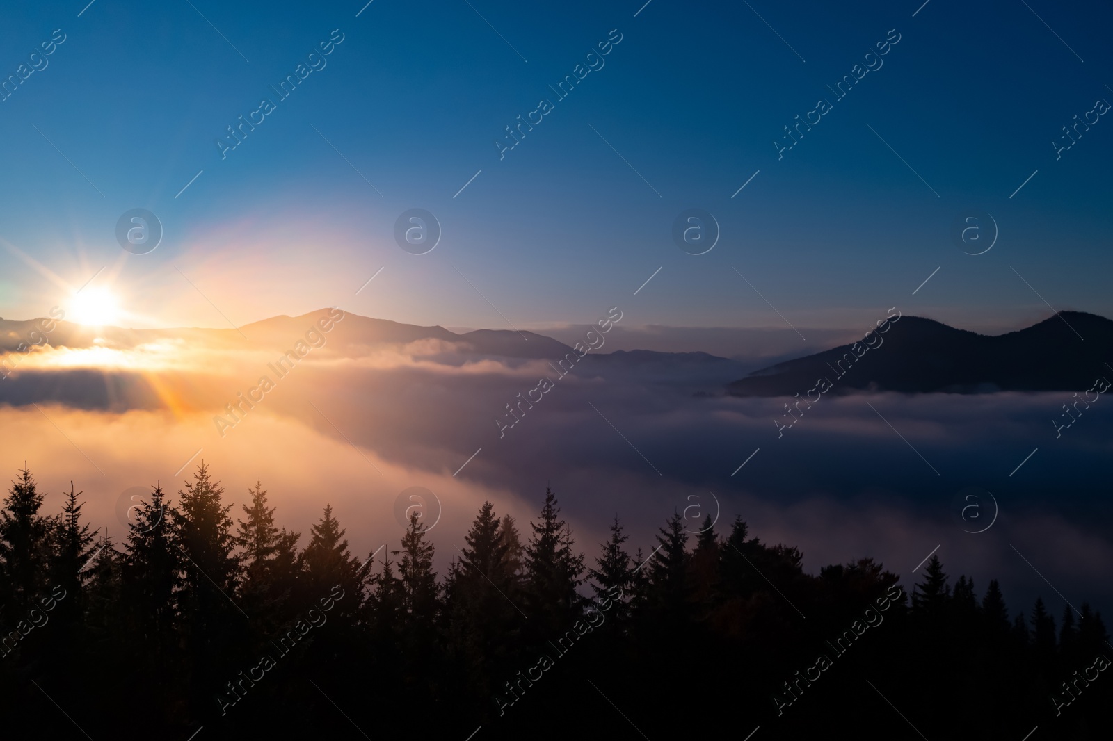 Image of Sun shining over misty autumn forest in mountains. Drone photography