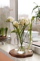Photo of Different beautiful spring flowers on windowsill indoors