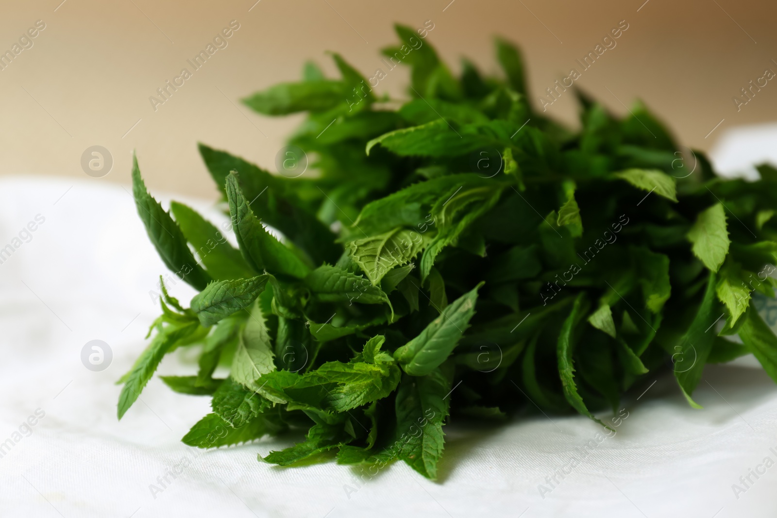 Photo of Beautiful green mint on white fabric, closeup