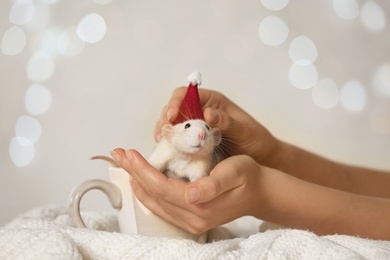 Photo of Woman holding cute little rat in Santa hat against blurred lights, closeup. Chinese New Year symbol