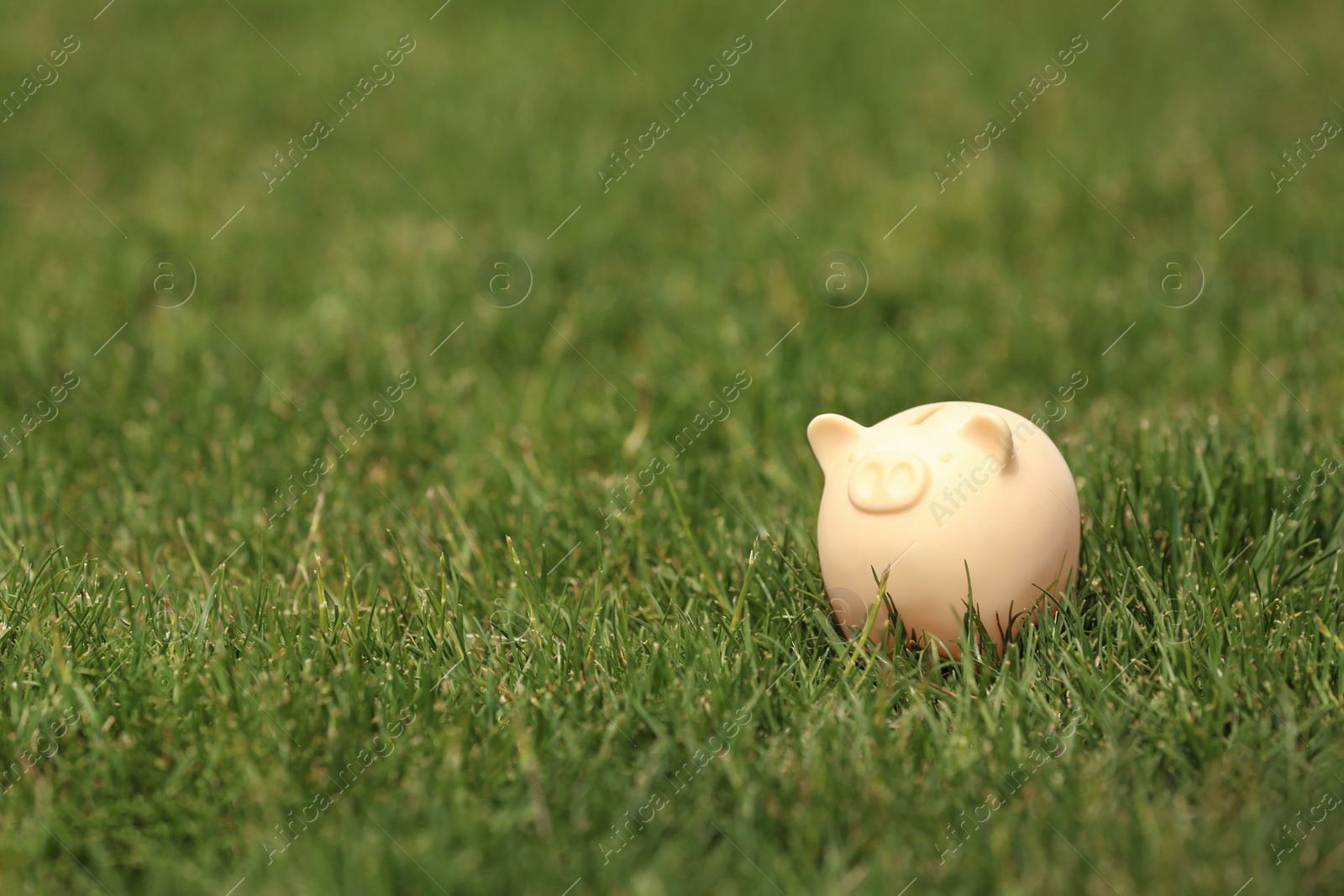 Photo of Cute piggy bank in green grass outdoors. Space for text