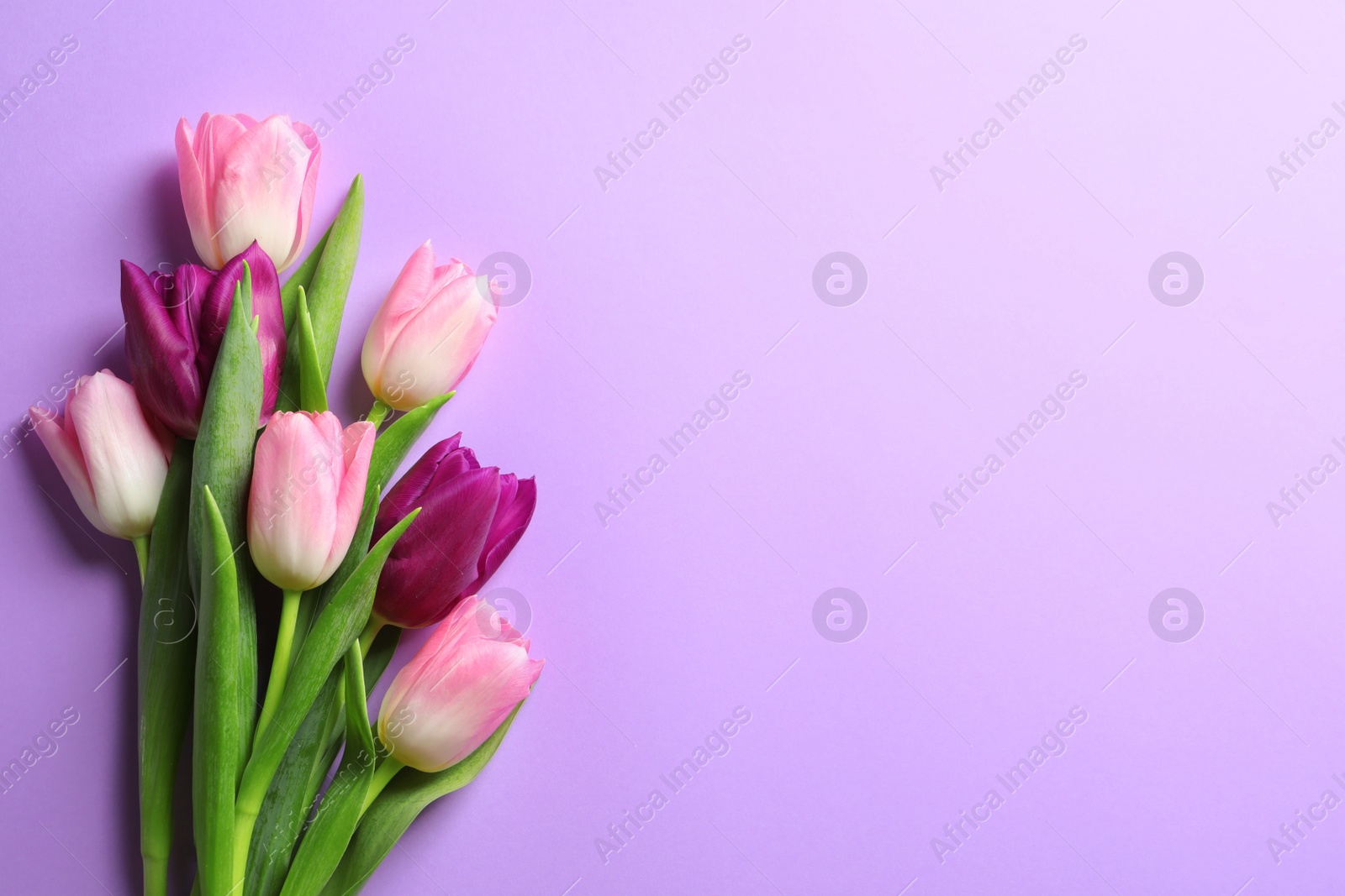 Photo of Beautiful spring tulips on color background, top view with space for text. International Women's Day