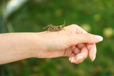 Photo of Woman holding common grasshopper outdoors, closeup view