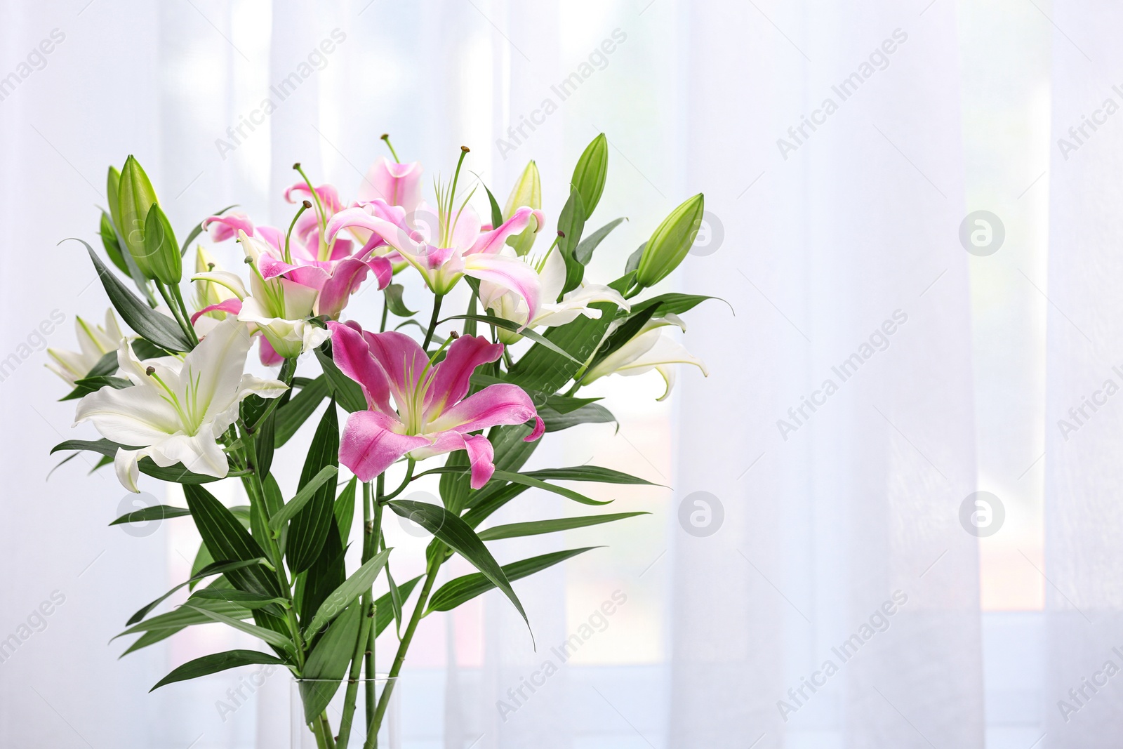 Photo of Vase with bouquet of beautiful lilies on blurred background. Space for text