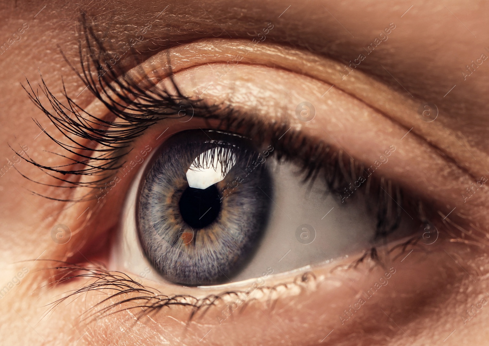 Image of Closeup view of woman with beautiful eye