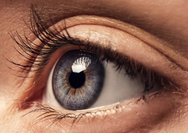 Closeup view of woman with beautiful eye