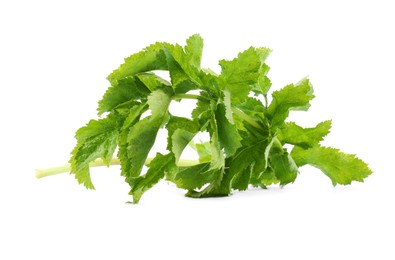 Photo of Tasty fresh green parsnip leaves isolated on white