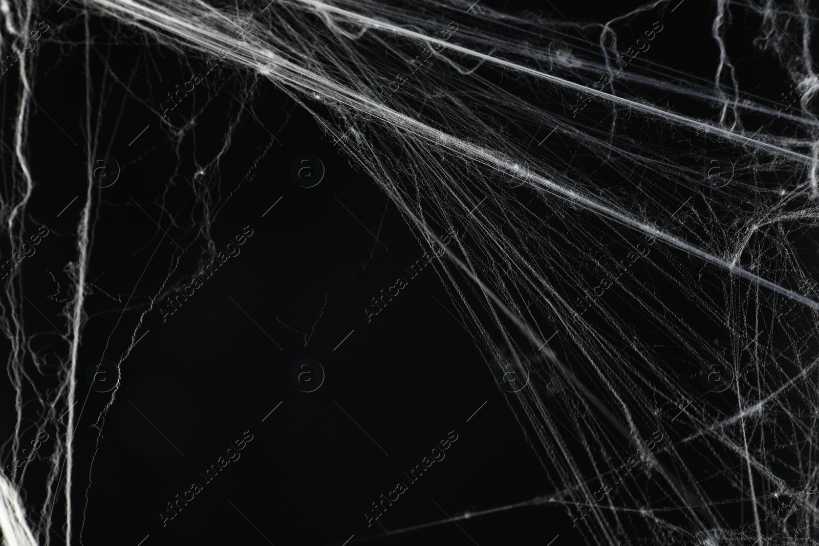 Photo of Creepy white spider web on black background