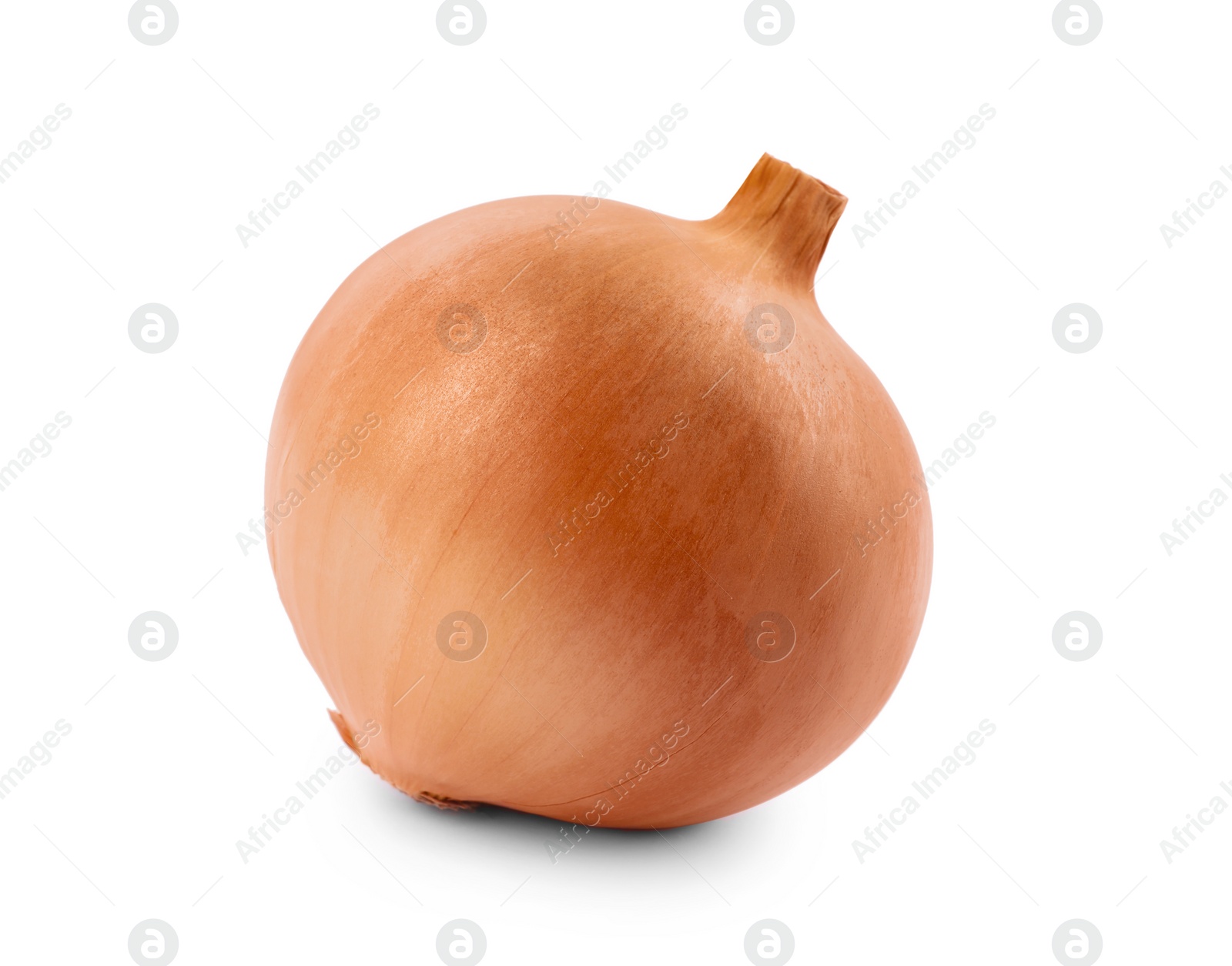 Photo of One yellow fresh onion isolated on white