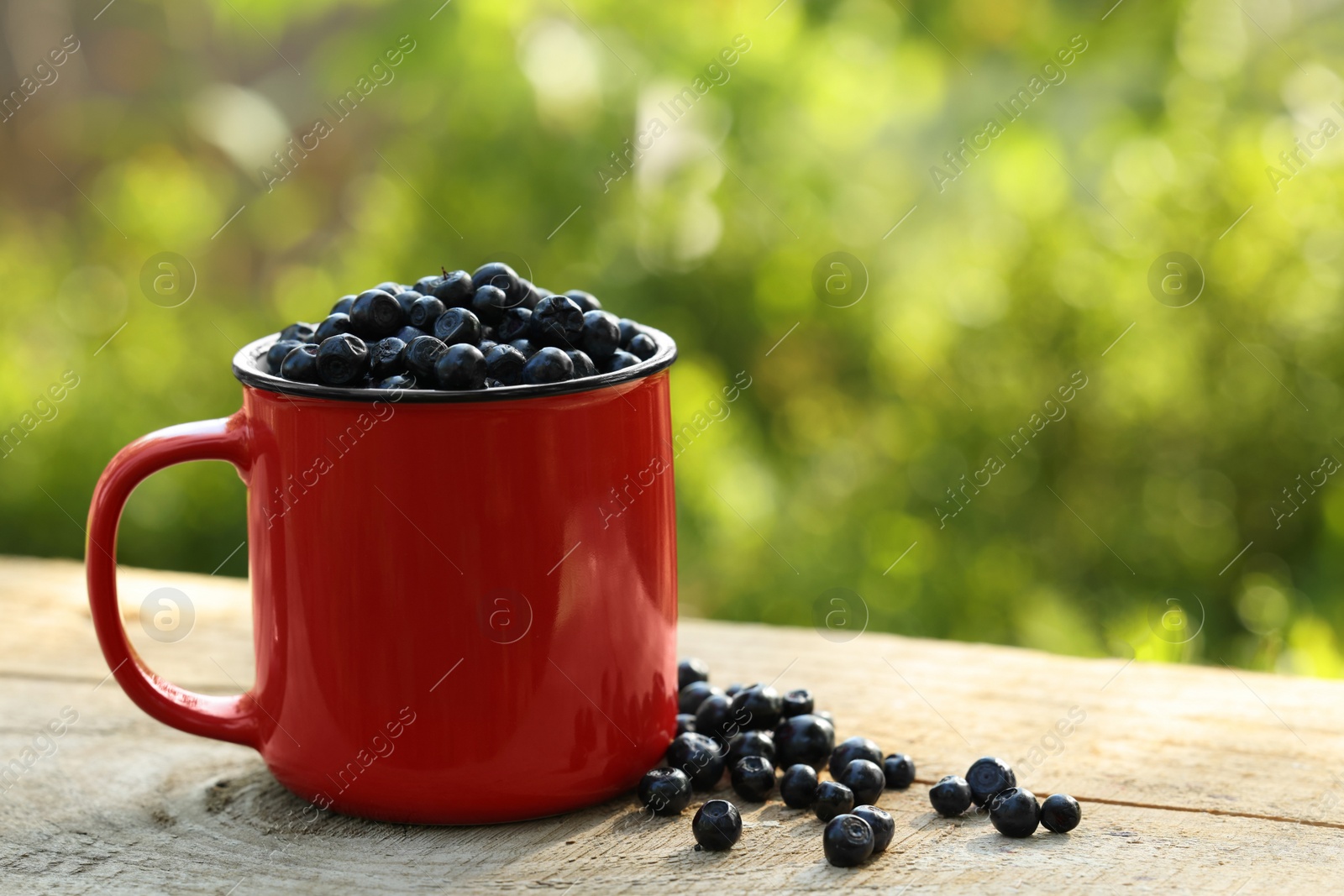 Photo of Red cup of bilberries on wooden table outdoors, space for text