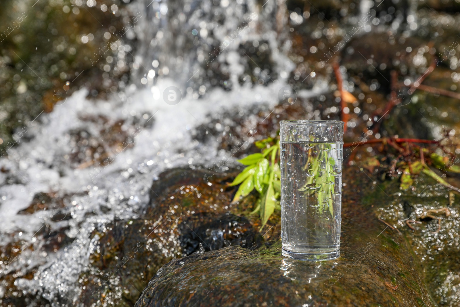 Photo of Wet glass of water on rocks near flowing stream outdoors, space for text