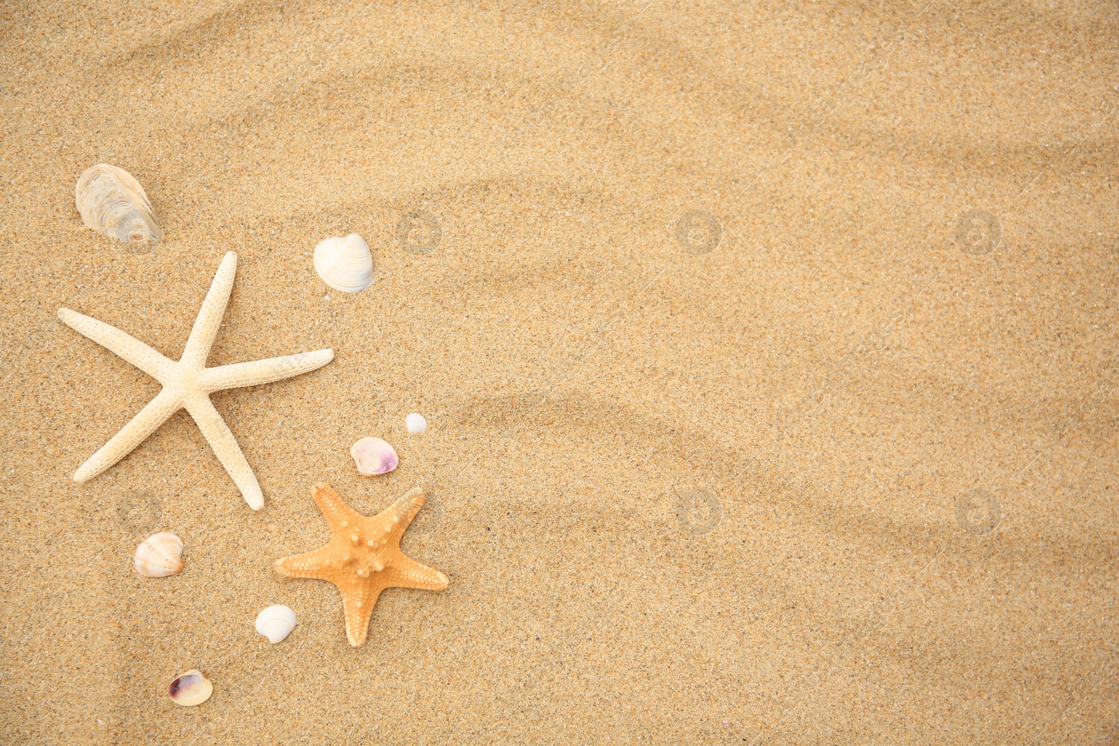 Photo of Beautiful starfishes and seashells on sand, flat lay. Space for text