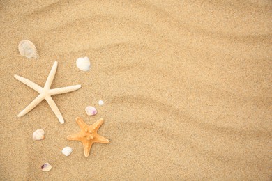 Beautiful starfishes and seashells on sand, flat lay. Space for text