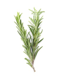 Photo of Fresh green rosemary twigs on white background, top view