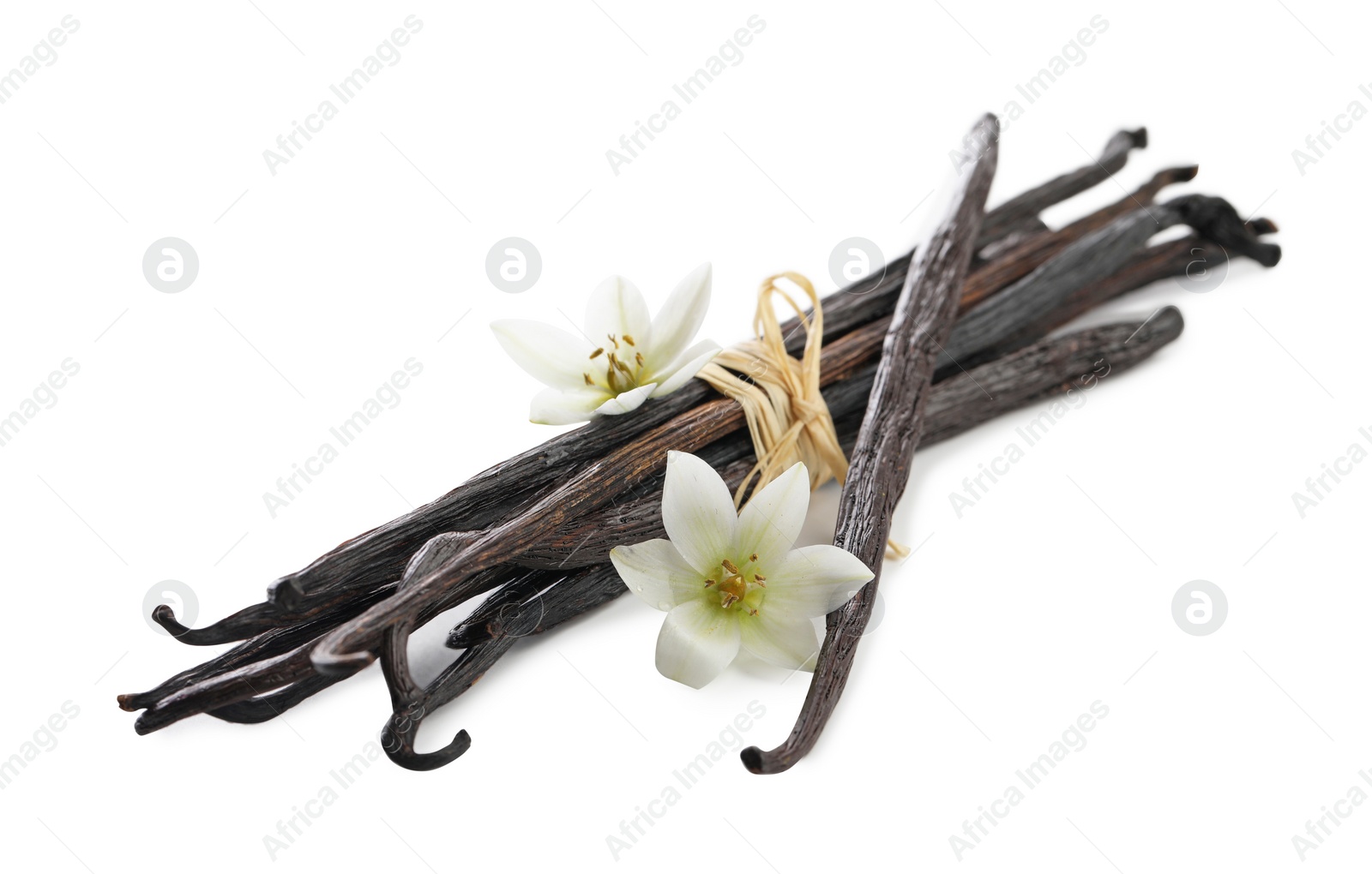 Photo of Vanilla pods, and flowers isolated on white