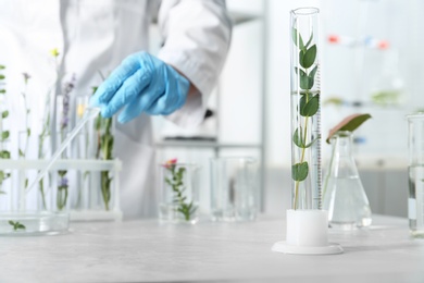 Graduated cylinder with plant on table in laboratory