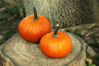 Photo of Two orange pumpkins on stump in garden