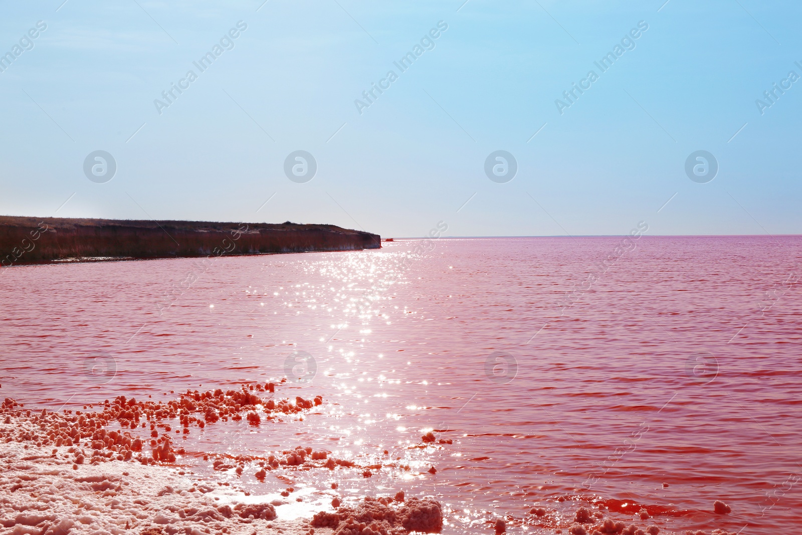 Photo of Beautiful view of pink lake on sunny day