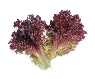 Photo of Leaves of fresh red coral lettuce isolated on white, top view