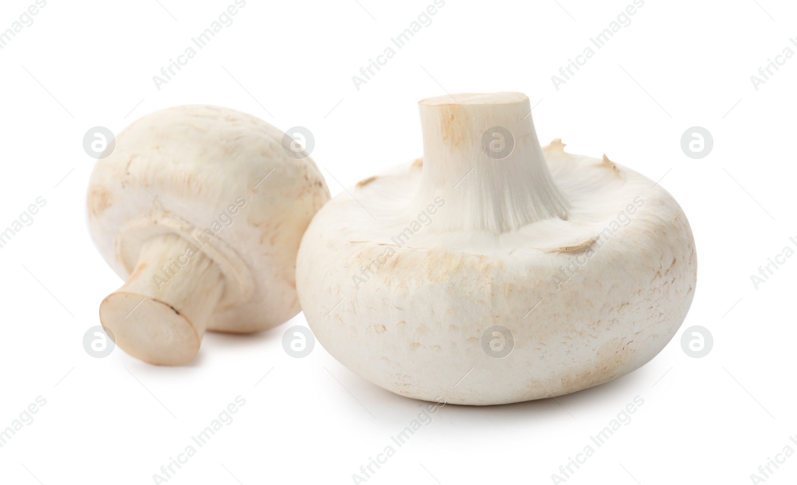 Photo of Fresh raw champignon mushrooms on white background