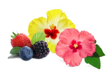 Image of Beautiful hibiscus flowers and fresh tasty berries on white background