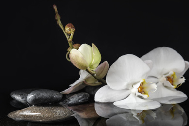 Photo of Stones and orchid flowers in water on black background. Zen lifestyle