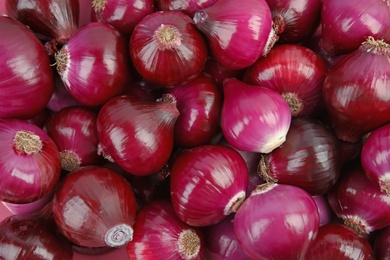 Ripe red onions as background