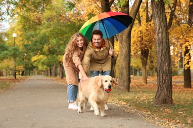 Young couple with umbrella and dog walking in park