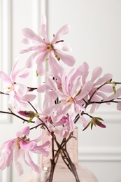 Photo of Magnolia tree branches with beautiful flowers in glass vase on white background, closeup