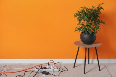 Photo of Power strip with different electrical plugs near houseplant on white floor indoors. Space for text