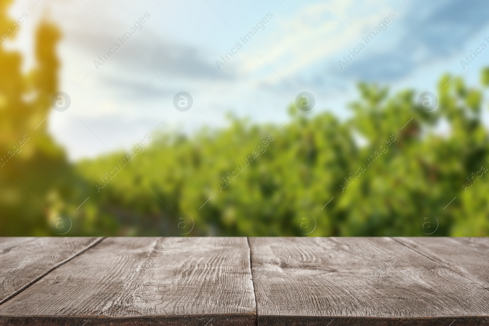 Image of Empty wooden surface and blurred view of vineyard rows with fresh grapes. Space for text
