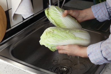 Photo of Woman washing fresh Chinese cabbages in sink, closeup