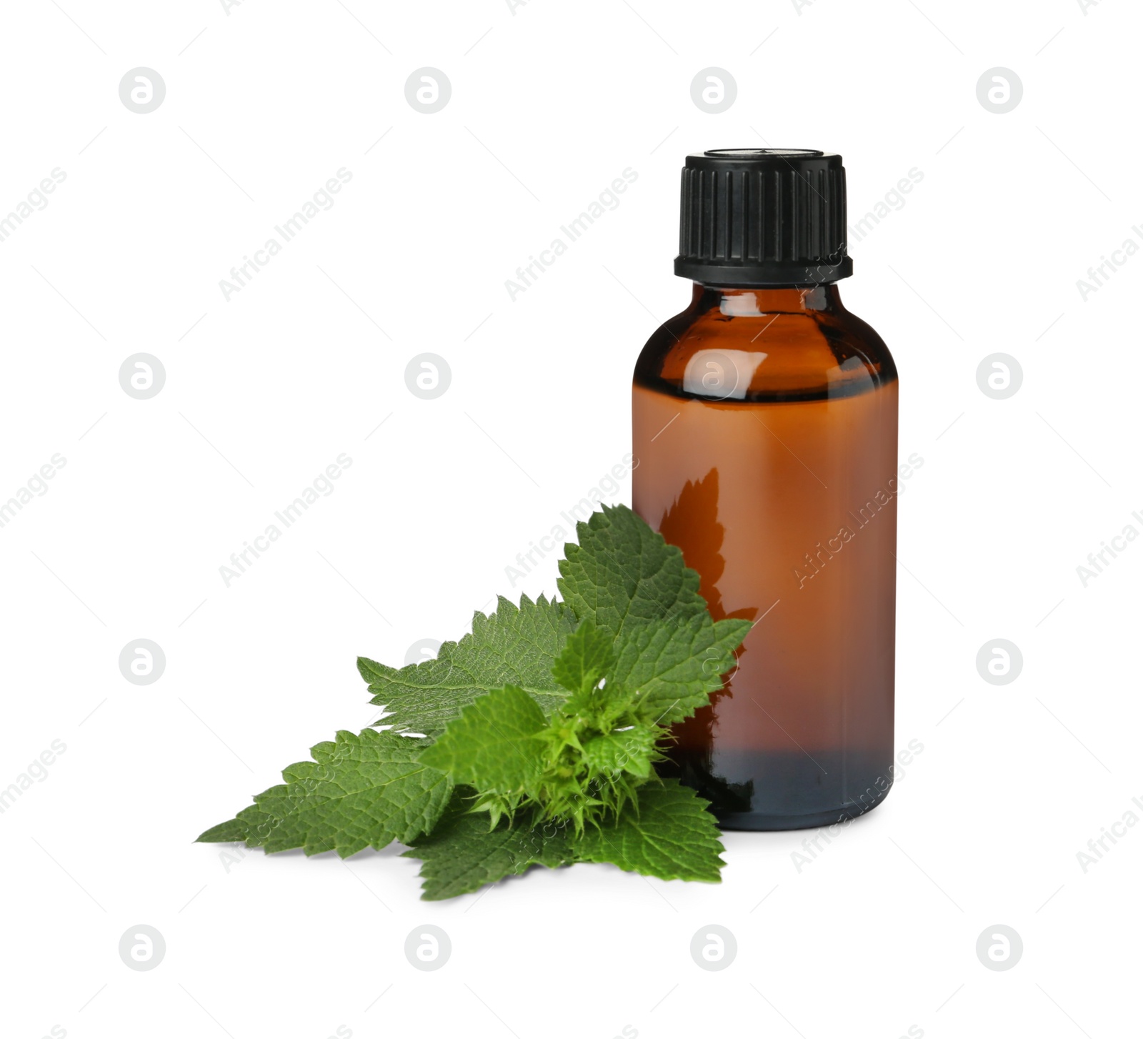 Photo of Glass bottle of nettle oil with leaves isolated on white