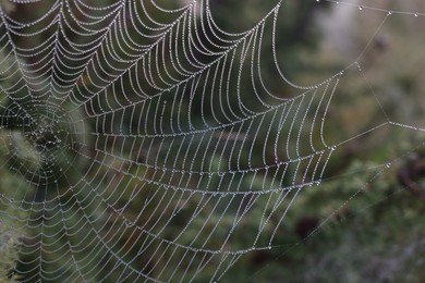 Photo of Closeup view of cobweb with dew drops outdoors