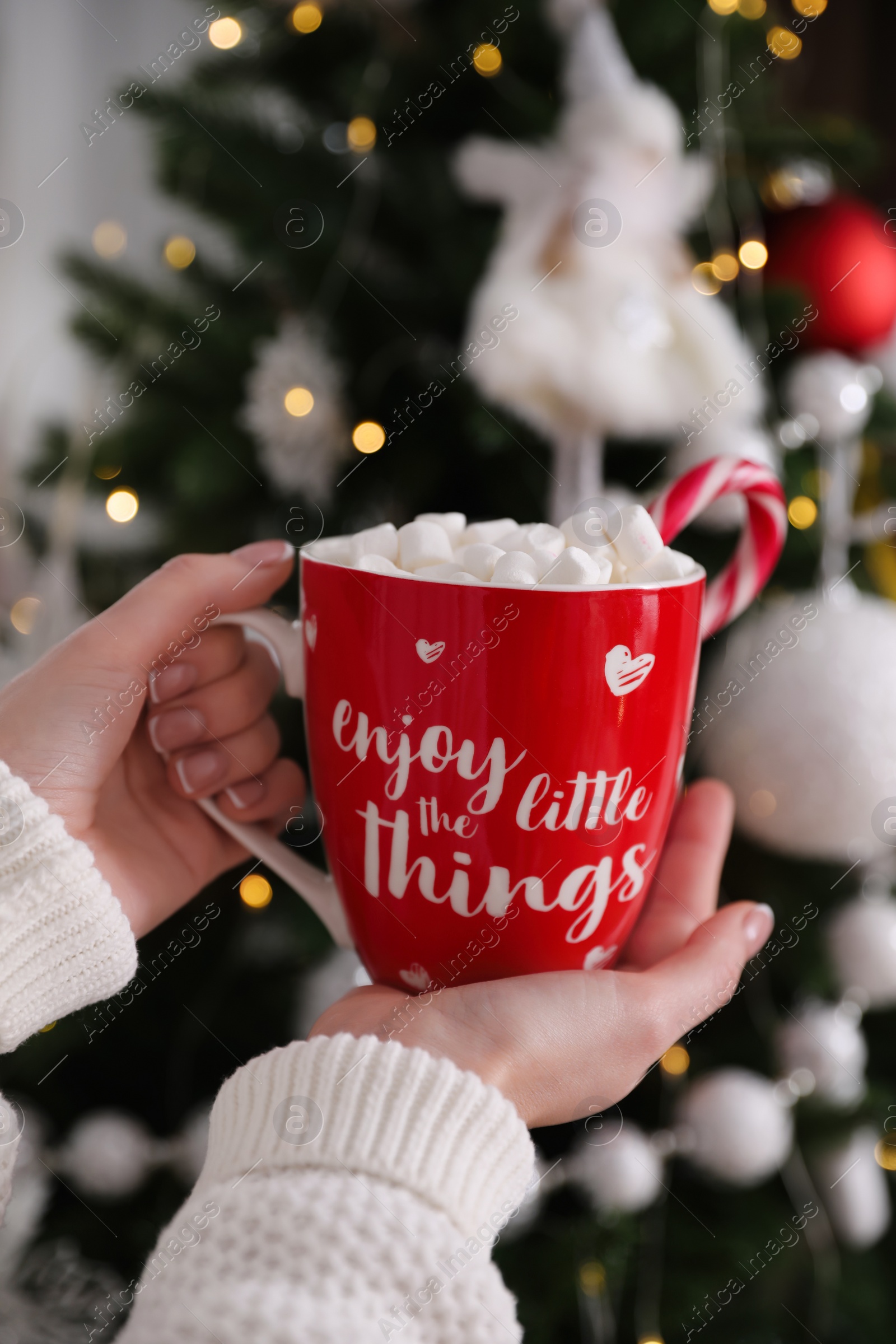 Photo of Woman with cup of delicious hot drink near Christmas tree at home, closeup