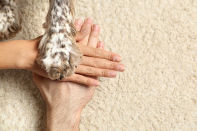 Photo of Family with their dog putting hands and paw together on light carpet, top view. Space for text