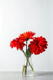 Photo of Vase with beautiful dahlia flowers on table against light background