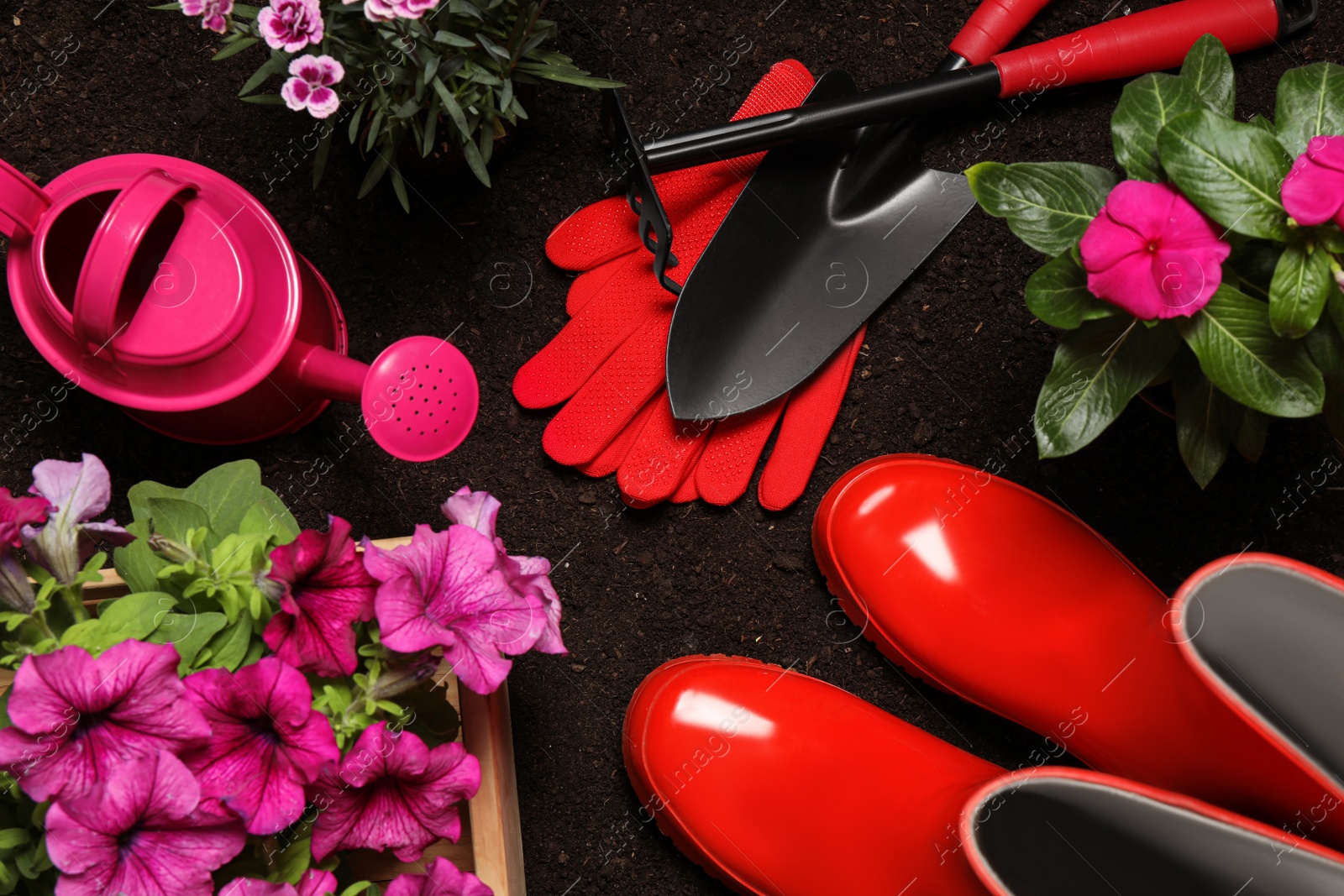 Photo of Flat lay composition with gardening equipment and flowers on soil