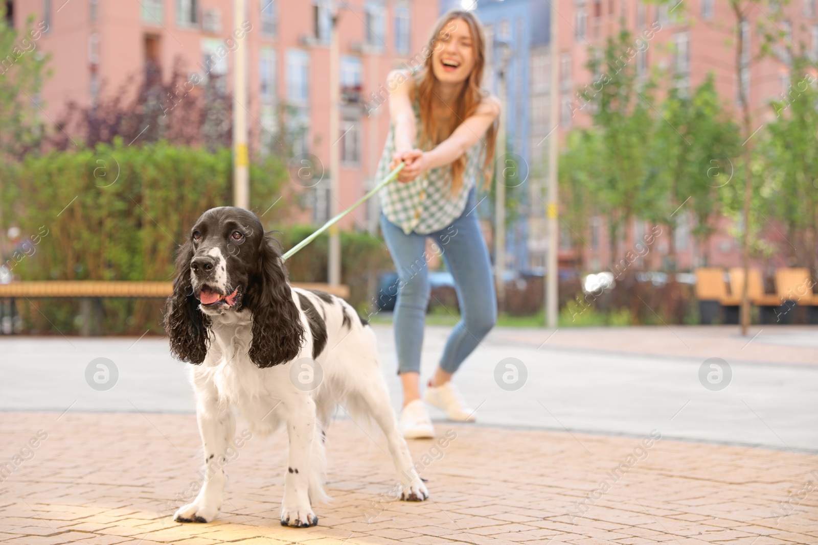 Photo of Woman walking English Springer Spaniel dog outdoors