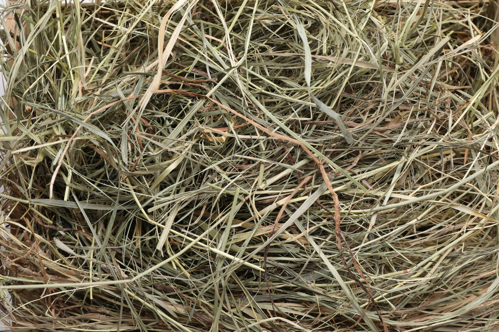 Photo of Heap of dried hay as background, top view