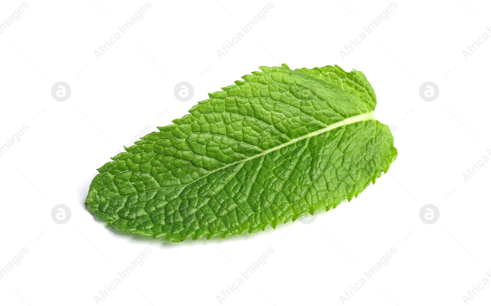 Photo of Fresh green mint leaf on white background