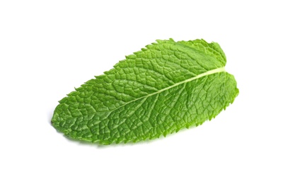 Photo of Fresh green mint leaf on white background