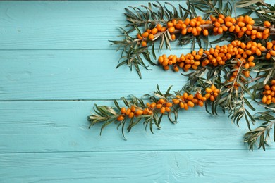 Branches of sea buckthorn on light blue wooden table, flat lay. Space for text