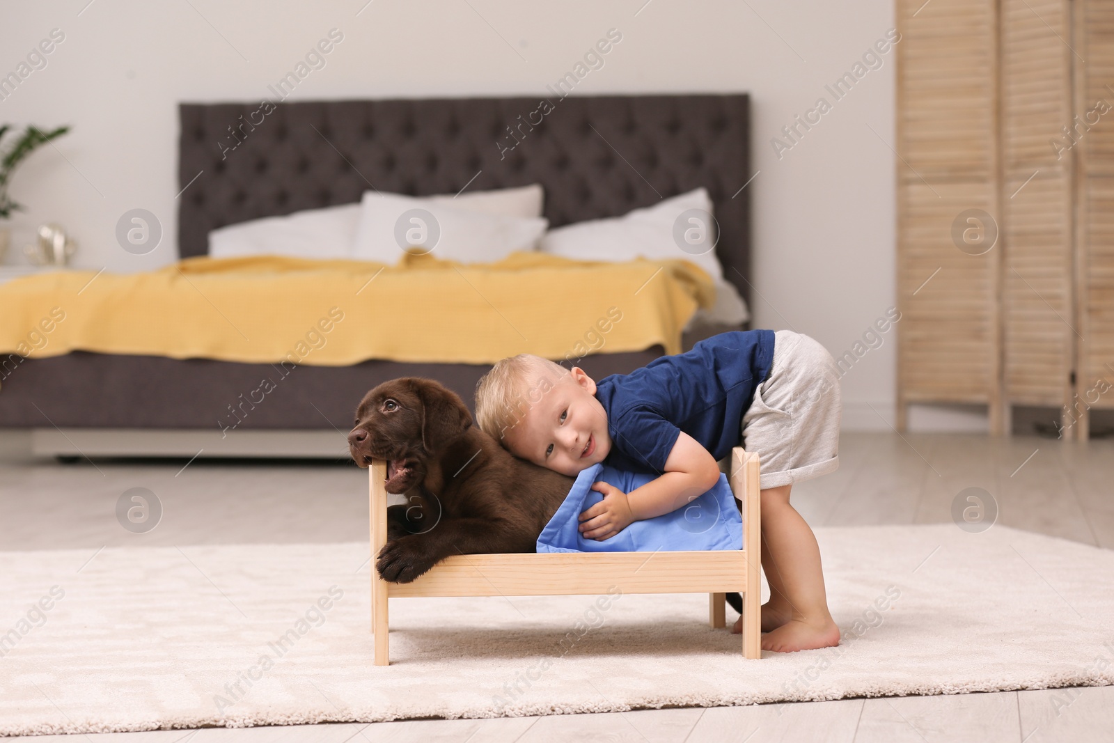 Photo of Little boy playing with adorable chocolate labrador retriever at home