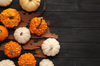 Photo of Flat lay composition with different ripe pumpkins on black wooden table. Space for text