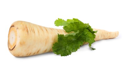 Tasty fresh ripe parsnip on white background