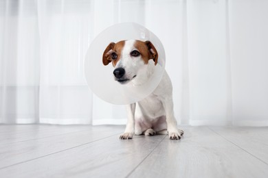 Photo of Cute Jack Russell Terrier dog wearing medical plastic collar indoors