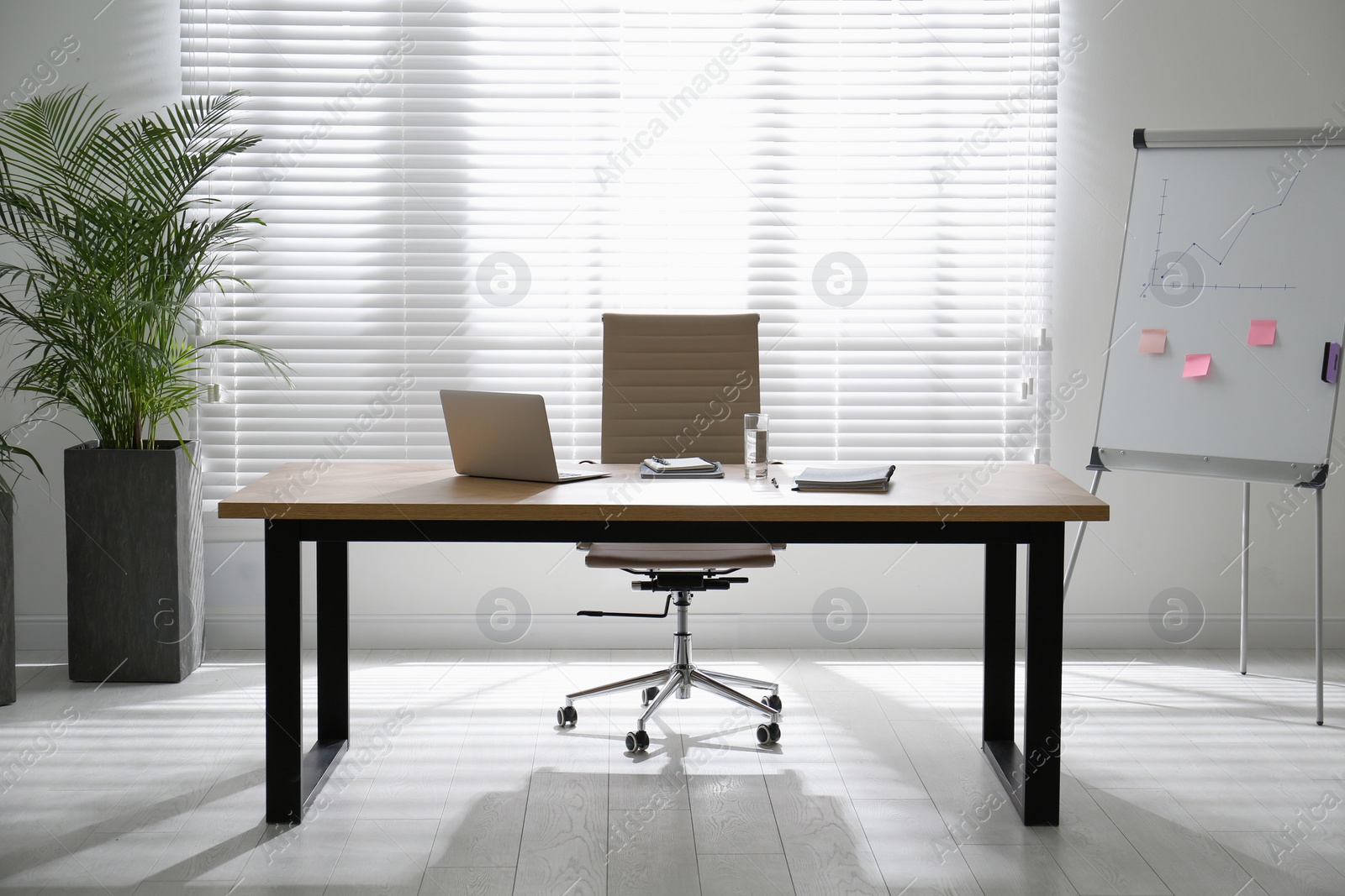 Photo of Director's office with large wooden table. Interior design