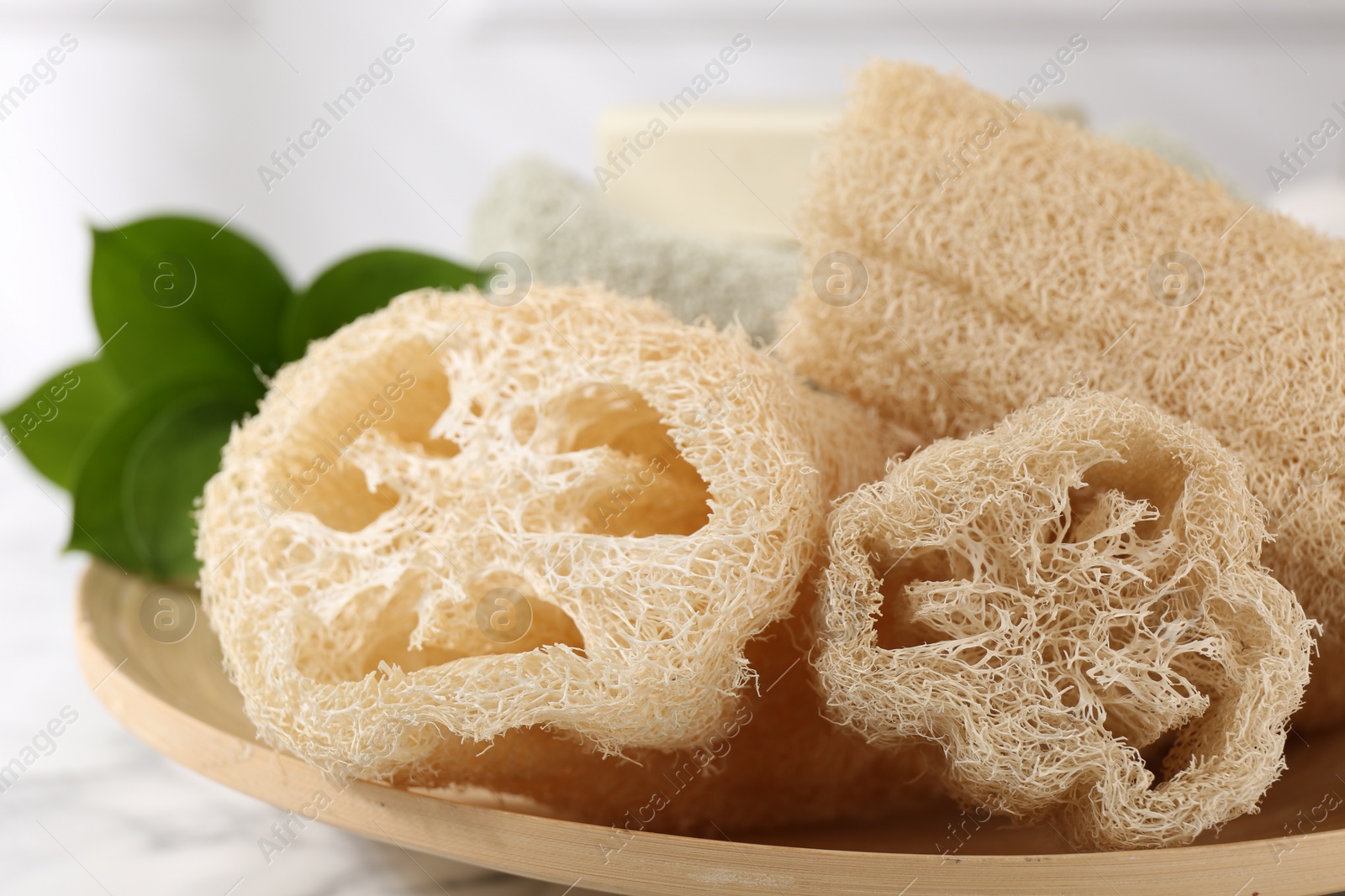 Photo of Loofah sponges and green leaves on table, closeup