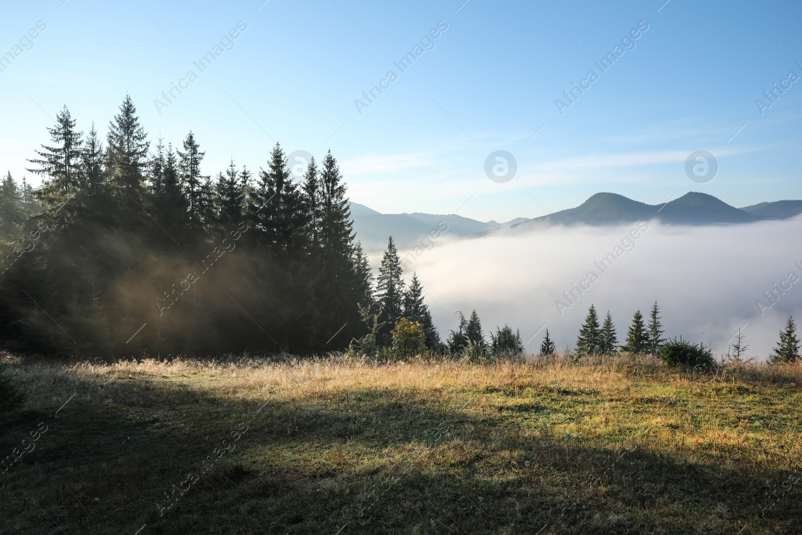 Photo of Beautiful view of mountains covered with fog at sunrise